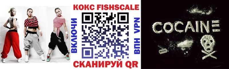 купить закладку  Сыктывкар  МЕГА онион  Кокаин FishScale 