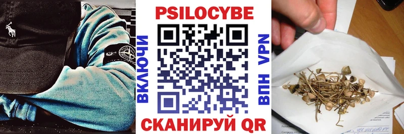 Псилоцибиновые грибы Cubensis  Сыктывкар 